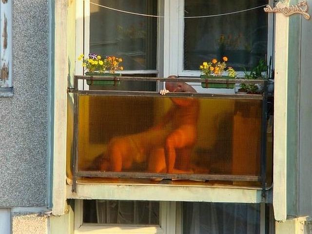 Любители экстрима кайфуют от секса на улице и в публичных местах 12 фотка